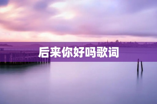 后来你好吗歌词