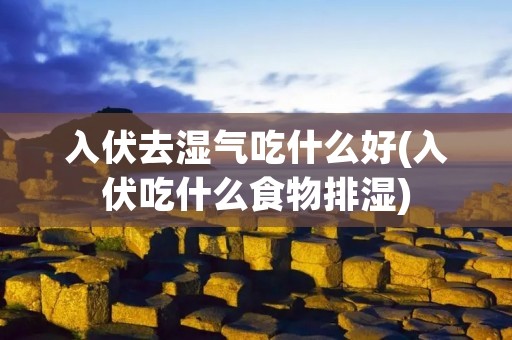 入伏去湿气吃什么好(入伏吃什么食物排湿) 入伏去湿气吃什么好(入伏吃什么食物排湿)