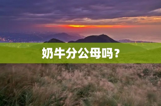 奶牛分公母吗？