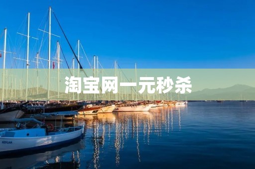 淘宝网一元秒杀:抢购狂欢,百宝争奇 淘宝网一元秒杀:抢购狂欢,百宝争奇