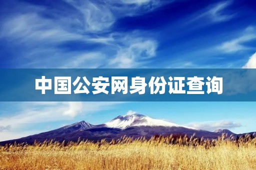 中国公安网身份证查询:快速便捷获取个人信息 中国公安网身份证查询:快速便捷获取个人信息