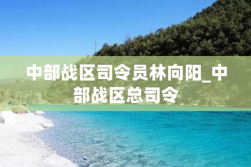 中部战区司令员林向阳_中部战区总司令
