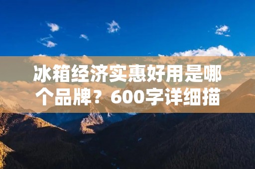 冰箱经济实惠好用是哪个品牌？600字详细描述：