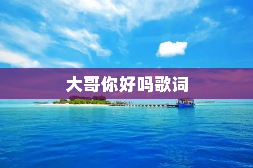 大哥你好吗歌词 大哥你好吗歌词