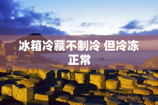 冰箱冷藏不制冷 但冷冻正常：探究原因与解决方法