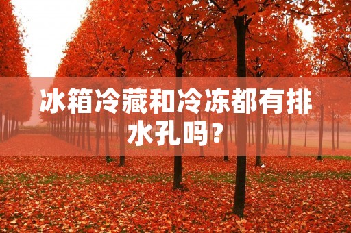 冰箱冷藏和冷冻都有排水孔吗? 冰箱冷藏和冷冻都有排水孔吗?