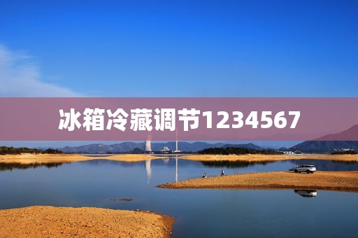 冰箱冷藏调节1234567:科学掌握温度,保鲜无忧 冰箱冷藏调节1234567:科学掌握温度,保鲜无忧