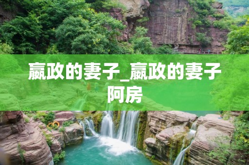 嬴政的妻子_嬴政的妻子阿房
