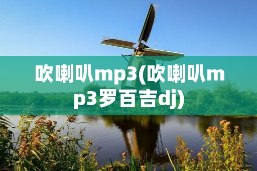 吹喇叭mp3(吹喇叭mp3罗百吉dj) 吹喇叭mp3(吹喇叭mp3罗百吉dj)