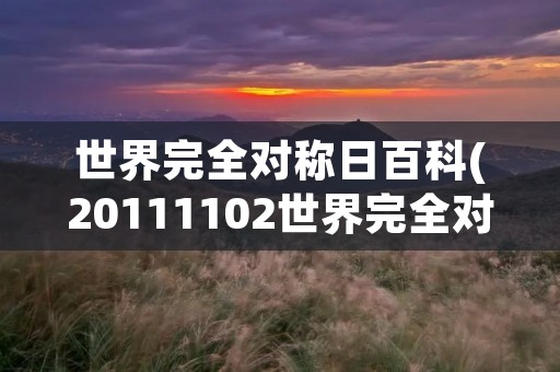 世界完全对称日百科(20111102世界完全对称日) 世界完全对称日百科(20111102世界完全对称日)