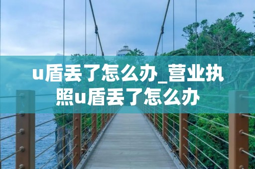 u盾丢了怎么办_营业执照u盾丢了怎么办