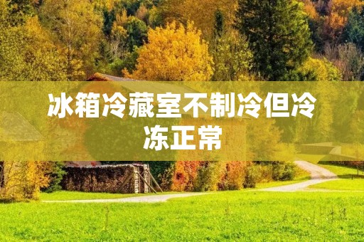 冰箱冷藏室不制冷但冷冻正常：原因与解决方法