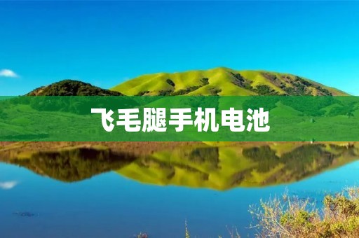 飞毛腿手机电池：给你畅快的使用体验