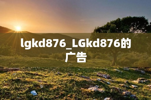 lgkd876_LGkd876的广告