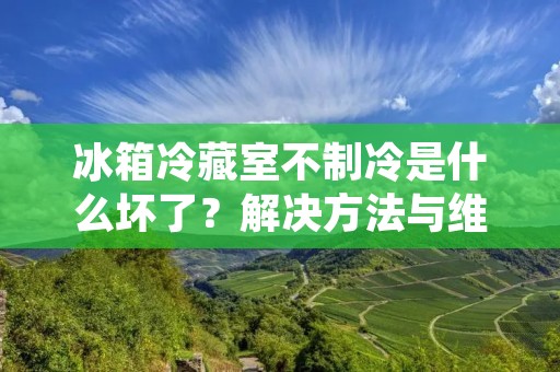 冰箱冷藏室不制冷是什么坏了?解决方法与维修技巧揭秘