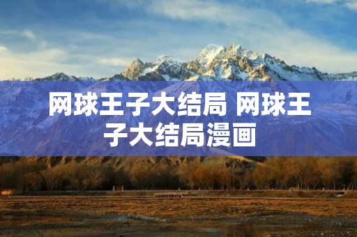 网球王子大结局 网球王子大结局漫画 网球王子大结局 网球王子大结局漫画