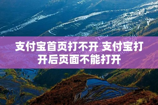 支付宝首页打不开 支付宝打开后页面不能打开 支付宝首页打不开 支付宝打开后页面不能打开