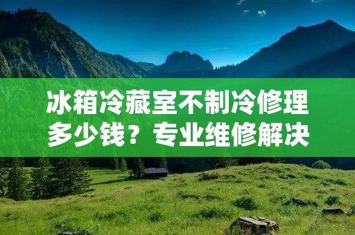冰箱冷藏室不制冷修理多少钱？专业维修解决问题的费用分析