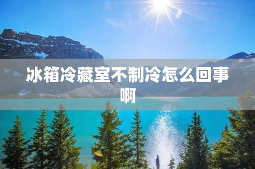 冰箱冷藏室不制冷怎么回事啊