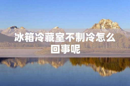 冰箱冷藏室不制冷怎么回事呢