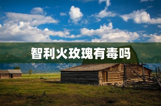 智利火玫瑰有毒吗 智利火玫瑰有毒吗
