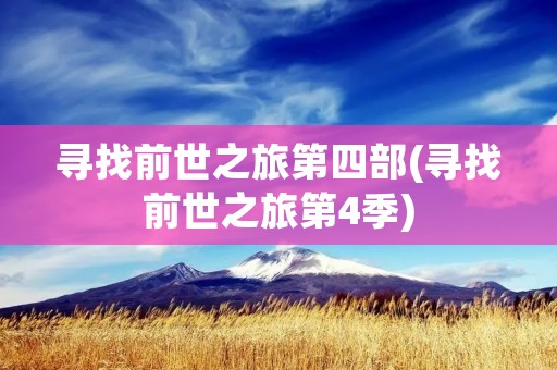 寻找前世之旅第四部(寻找前世之旅第4季)