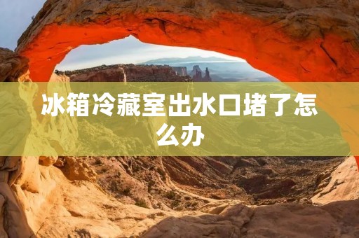 冰箱冷藏室出水口堵了怎么办 冰箱冷藏室出水口堵了怎么办