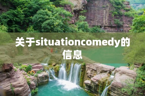 关于situationcomedy的信息