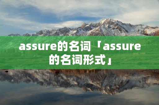 assure的名词「assure的名词形式」