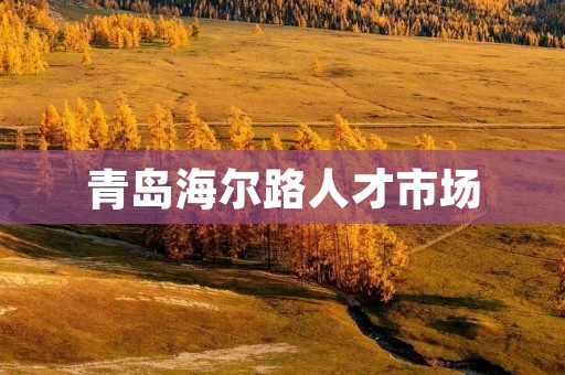 青岛海尔路人才市场:打造青岛人才交流与合作的平台 青岛海尔路人才市场:打造青岛人才交流与合作的平台
