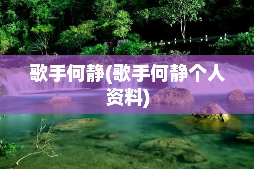 歌手何静(歌手何静个人资料)
