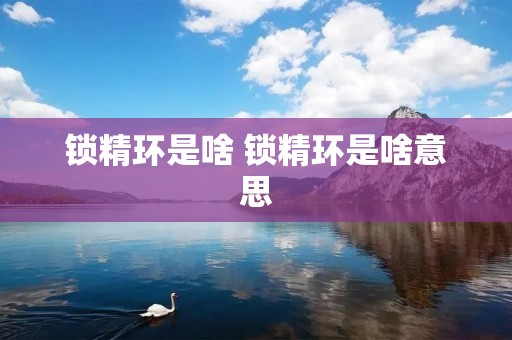 锁精环是啥 锁精环是啥意思 锁精环是啥 锁精环是啥意思