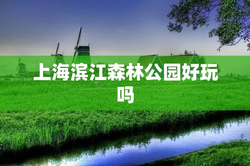 上海滨江森林公园好玩吗