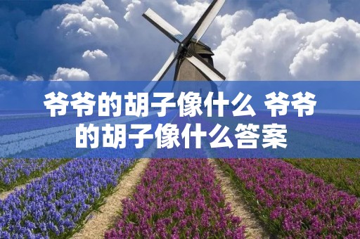 爷爷的胡子像什么 爷爷的胡子像什么答案