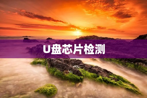 U盘芯片检测：保障数据安全的必要步骤