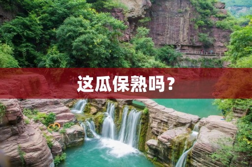 这瓜保熟吗? 这瓜保熟吗?