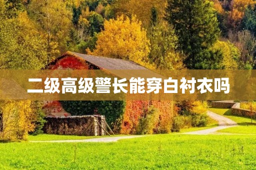 二级高级警长能穿白衬衣吗