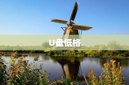 U盘低格：解决存储问题的终极方案