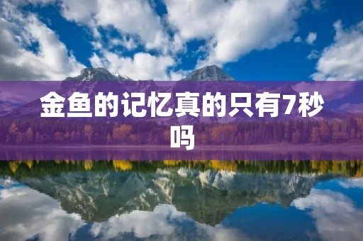 金鱼的记忆真的只有7秒吗