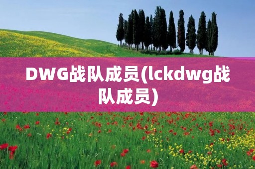 DWG战队成员(lckdwg战队成员)