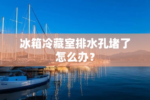 冰箱冷藏室排水孔堵了怎么办？