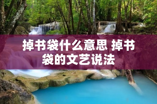 掉书袋什么意思 掉书袋的文艺说法