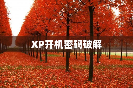 XP开机密码破解：解锁你的电脑大门
