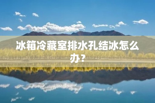 冰箱冷藏室排水孔结冰怎么办? 冰箱冷藏室排水孔结冰怎么办?