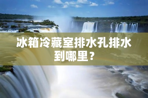 冰箱冷藏室排水孔排水到哪里? 冰箱冷藏室排水孔排水到哪里?