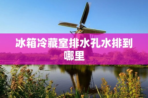 冰箱冷藏室排水孔水排到哪里 冰箱冷藏室排水孔水排到哪里