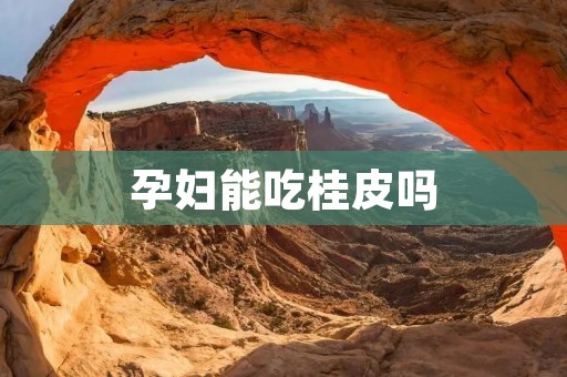 孕妇能吃桂皮吗 孕妇能吃桂皮吗