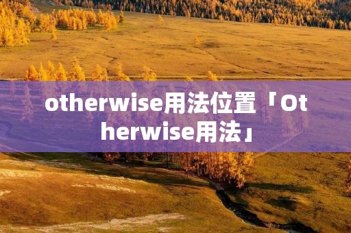 otherwise用法位置「Otherwise用法」