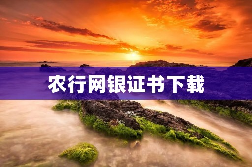 农行网银证书下载:详细步骤及注意事项 农行网银证书下载:详细步骤及注意事项