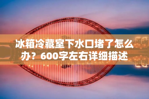 冰箱冷藏室下水口堵了怎么办？600字左右详细描述：